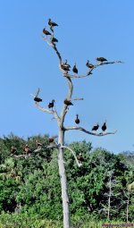 DSC_8604_stitch4_001.JPG