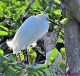 DSC_8718_001.JPG