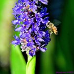 DSC_8790_001.JPG