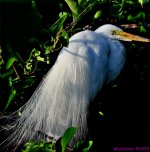 DSC_8823_stitch4_001.JPG