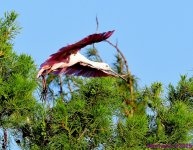 DSC_8850_001.JPG
