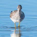 GreaterYLHeadOn-123.jpg