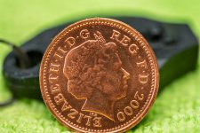 Penny at 1to1.jpg