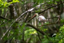 DSC_4761.jpg