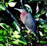 DSC_9857_001.JPG