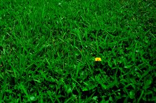 DSC_3516_01.JPG