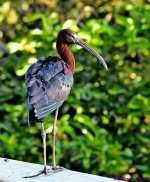 DSC_0254_stitch3_001.JPG