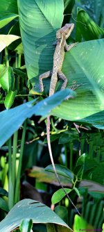DSC_0507_stitch3_001.JPG