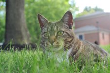 DSC_2412.JPG