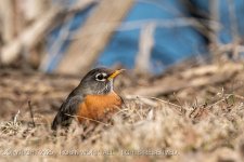 RD5_0166.jpg