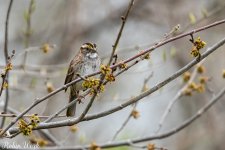 RD5_0788-Edit.jpg