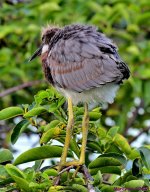 DSC_0717_stitch3_001.JPG