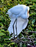 DSC_0790_001.JPG