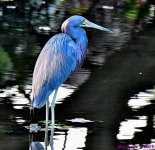 DSC_0792_001.JPG