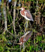 DSC_0818_stitch_001.JPG