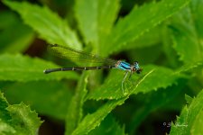 _DSC9573-topaz-rawdenoise.jpg