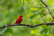 RD5_2820-Edit.jpg