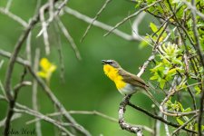 RD5_2796-Edit.jpg