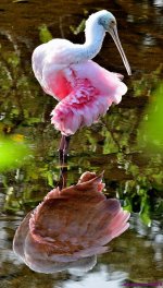 DSC_1489_stitch3_001.JPG