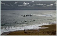 DSC_9319_02.jpg
