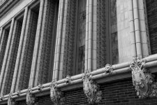 Window-1.jpg
