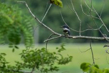 RD5_3867-Edit.jpg