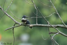 RD5_3876-Edit.jpg