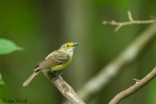 RD5_3373-Edit.jpg