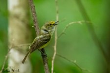 RD5_3375-Edit.jpg