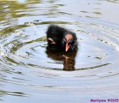 DSC_1766_001.JPG