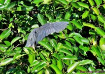 DSC_2022_stitch4_001.JPG