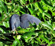 DSC_2027_001.JPG