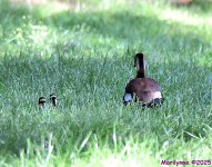 DSC_2034_001.JPG