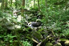DSC_0176.JPG