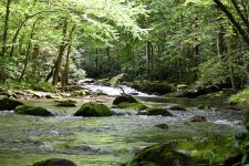 DSC_0192.JPG