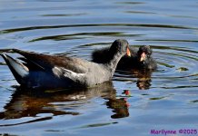 DSC_2181_001.JPG