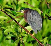 DSC_2267_001.JPG