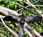 DSC_2280_stitch_001.JPG