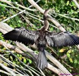 DSC_2284_stitch_001.JPG
