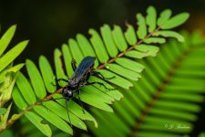 DSC_8570.jpg