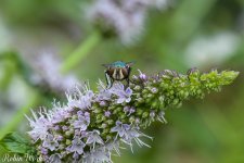 850_2037-2-Edit.jpg