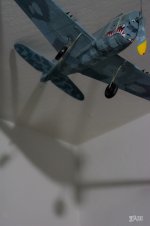71D_9589.jpg