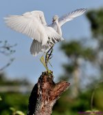 DSC_2927_001.JPG