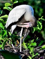 DSC_2967_001.JPG