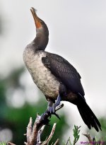 DSC_3047_stitch_001.JPG