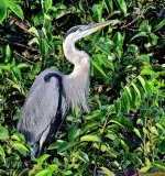 DSC_3094_001.JPG