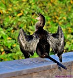 DSC_3210_stitch4_001.JPG