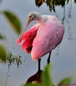 DSC_3260_001.JPG