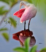 DSC_3280_stitch3_001.JPG