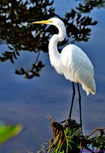DSC_3297_stitch5_001.JPG